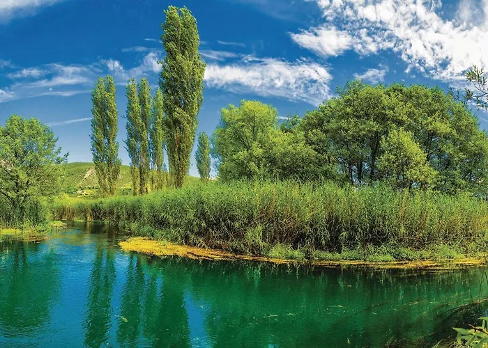 Awesome In With Wi-fi